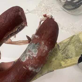 Küflü Ve Kötü Kokulu Sucuk Satışı: Sağlığımız Tehlikede