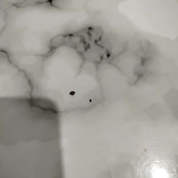 Cipsin İçinden Yabancı Cisim Çıktı, Dişim Kırılıyordu!