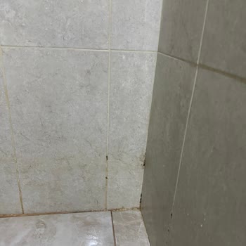 Admiral Hotel Mersin'de Kötü Temizlik, Hizmet Ve İlgisizlik Nedeniyle Mağduriyet