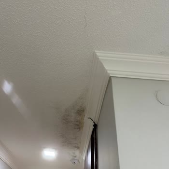 Admiral Hotel Mersin'de Kötü Temizlik, Hizmet Ve İlgisizlik Nedeniyle Mağduriyet