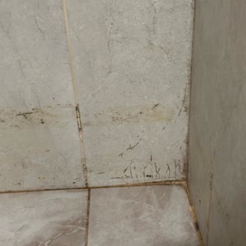 Admiral Hotel Mersin'de Kötü Temizlik, Hizmet Ve İlgisizlik Nedeniyle Mağduriyet