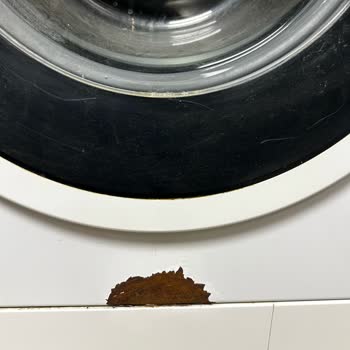 My Arçelik 8103 YCM Washing Machine Started Rusting After Three Years