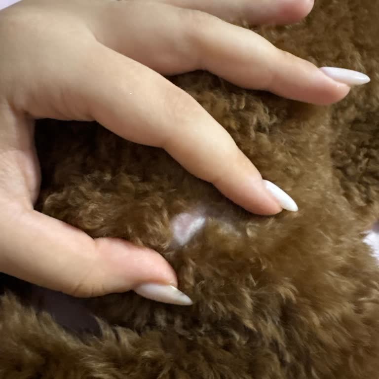 Yanlış Uygulanan Aşı Sonrası Köpeğimde Kalıcı Hasar Ve Kliniğin İlgisizliği