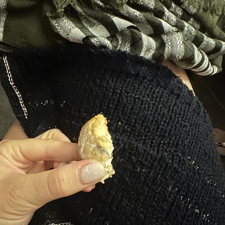 Veli Dede Bozcaada Şubesinden Aldığım Kurabiyede Yabancı Madde Şoku