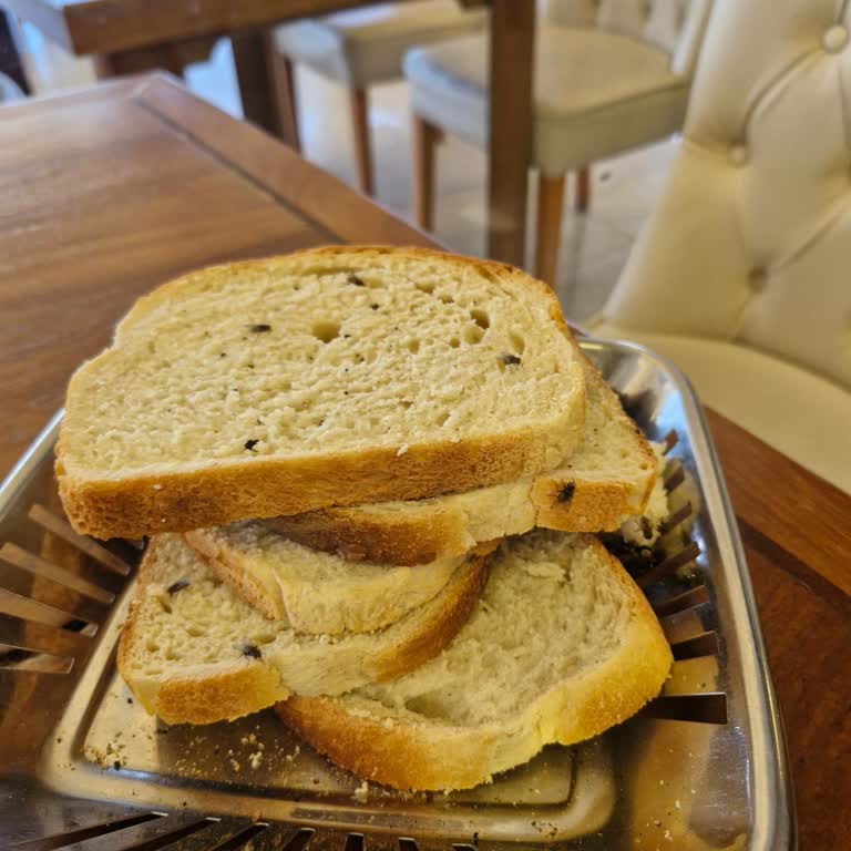 Köfteci Yusuf'ta Sinek İstilası Ve Hijyen Eksikliği Nedeniyle Mağduriyet Yaşadım