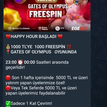 FreeSpin Kampanyasında Sistem Hatası Nedeniyle Hakkım Tanımlanmadı