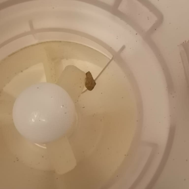 Keysmart Mama Kabı Sürekli Tıkanıyor, Servis Çözüm Sunamıyor