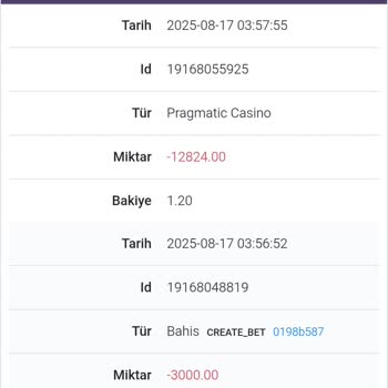 Onayım Dışında Hesabımdan Para Aktarıldı Ve Kayboldu!