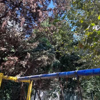 Üsküdar Harem Sahilindeki Çocuk Parkında Temizlik Ve Güvenlik Sorunu