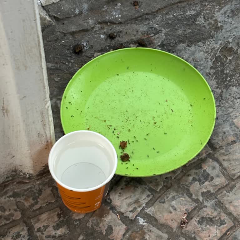 Otelin Konumu Ve Hijyen Sorunu Nedeniyle Mağduriyet Yaşadım