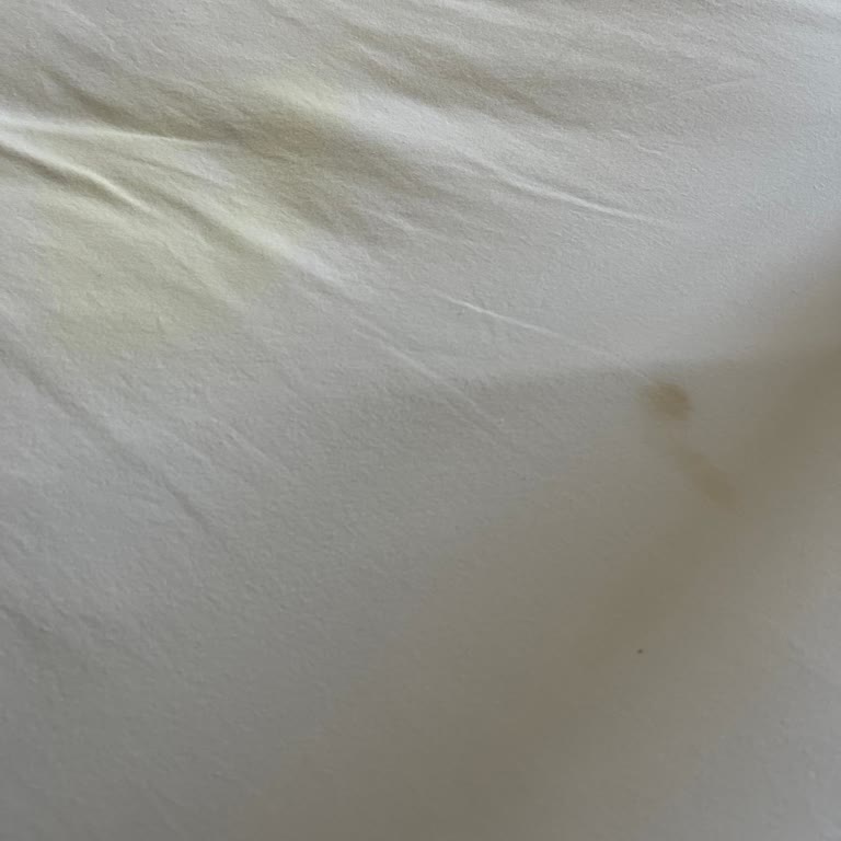 Küfe Otel'de Hijyen Sorunu Ve Mağduriyetime Çözüm Bekliyorum