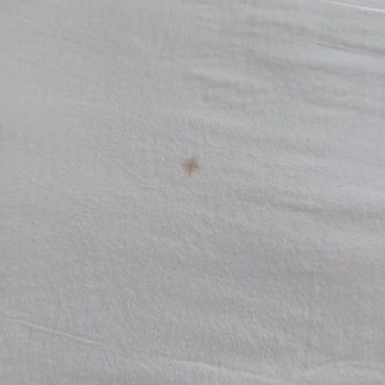 Lamos Otel’de Hijyen Ve Hizmet Eksikliği, Çocuklara Yemek Verilmedi