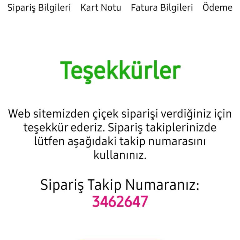 Teslim Edilmeyen Sipariş, Ulaşılamayan Müşteri Hizmeti