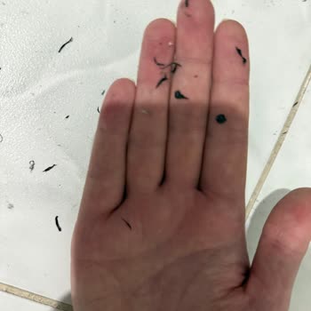 Kronik Motor Arızası Nedeniyle Sağlığımı Tehlikeye Atan Koşu Bandı Ve İade Talebim