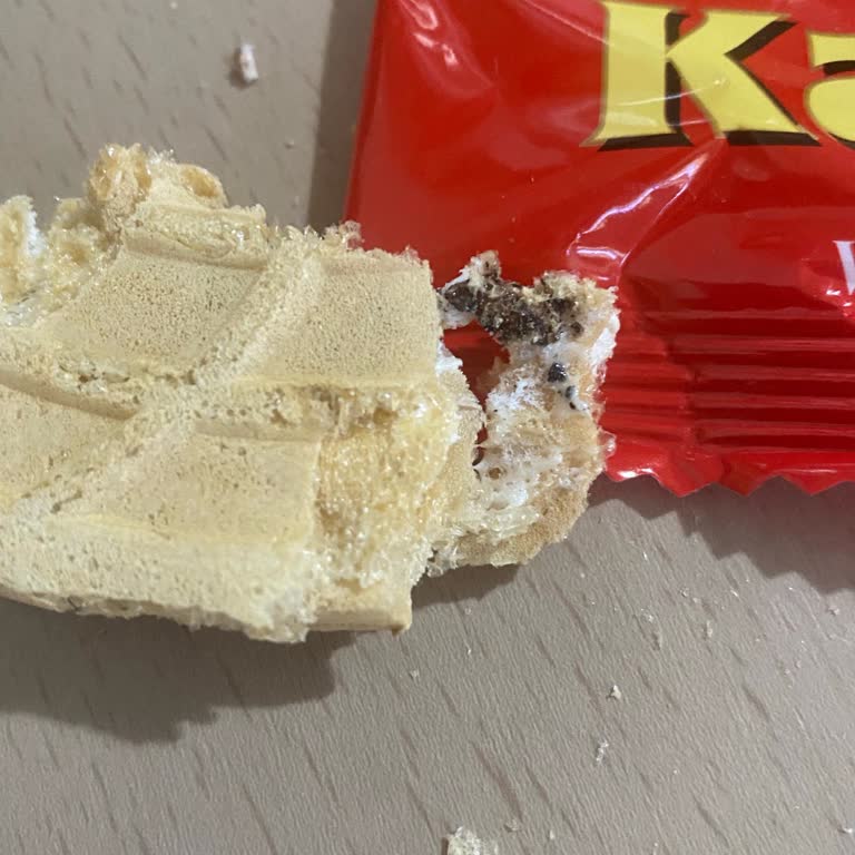 Koska Kağıt Helvasında Böcek Yumurtası Şoku: Son Kullanma Tarihi Geçmemiş Üründe Hijyen Sorunu