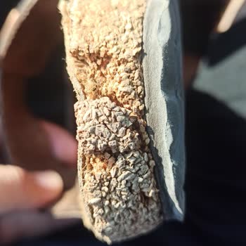 Birkenstock Tabanında Kısa Sürede Beklenmedik Deformasyon