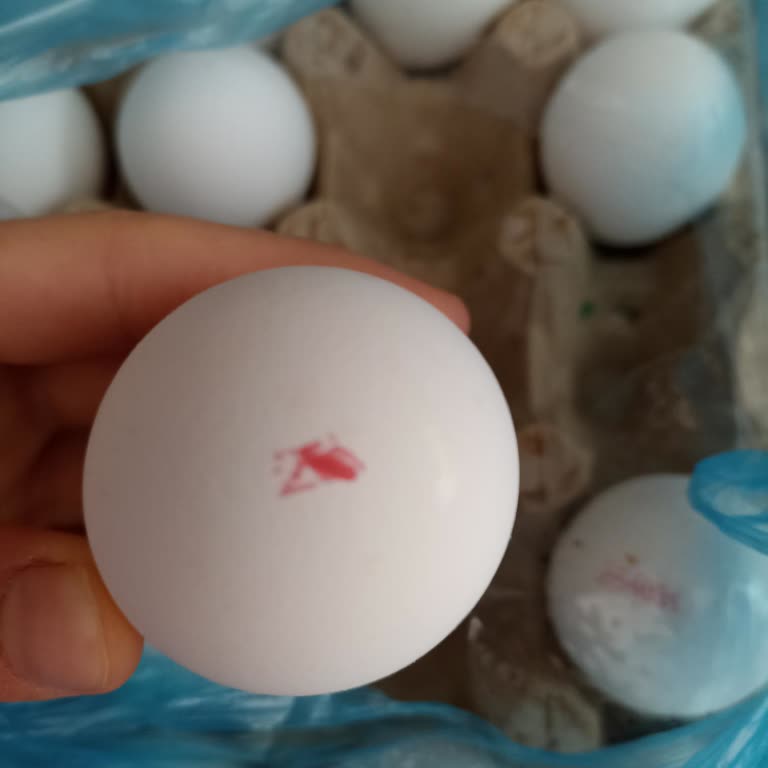 Seç Market Gıda Ürünlerinde Silik Son Kullanma Tarihi