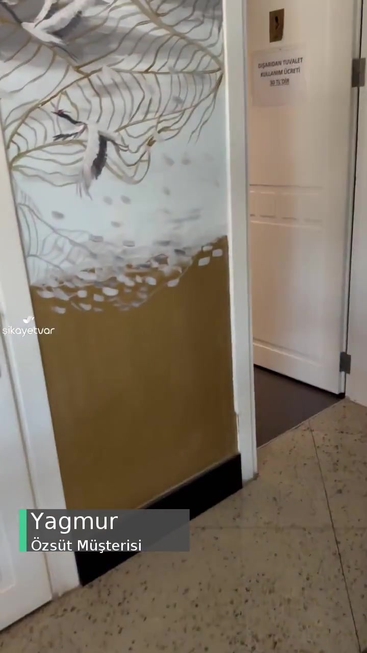 Özsüt 30 TL WC Yazıyor Kocaman! videonun kapak resmi