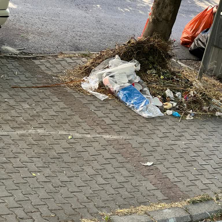 Mahallede Temizlik Hizmetleri ve İletişim Eksikliği Hakkında Şikayet