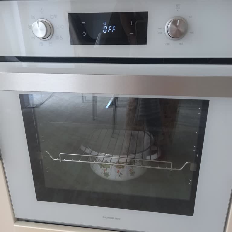 Silverline Fırında Alt Pişirme Sorunu Ve İlgisiz Müşteri Hizmetleri