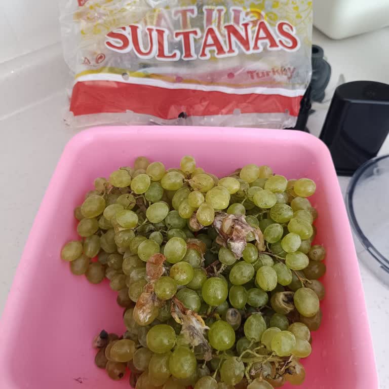 Siparişimde Çürük Üzüm Gönderildi, İade Talep Ediyorum