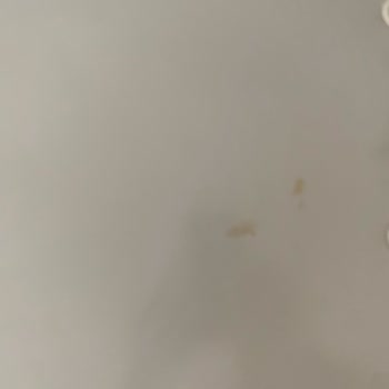 Mondi Home Yatak Odası Ve Yemek Masasında Garanti Sorunları