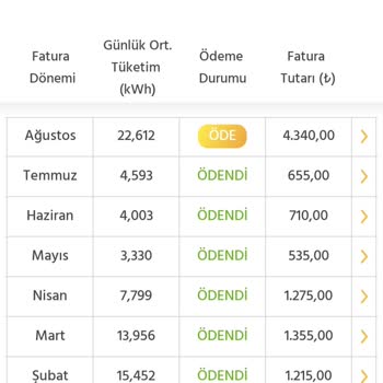 Enerjisa Faturasındaki Beklenmedik Artış Ve Tüketim Tutarsızlığı
