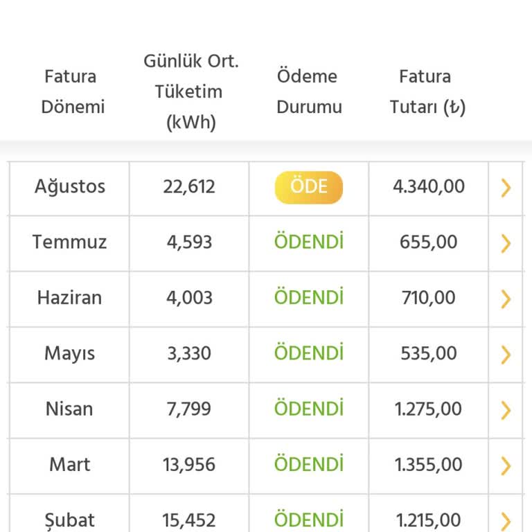 Enerjisa Faturasındaki Beklenmedik Artış Ve Tüketim Tutarsızlığı