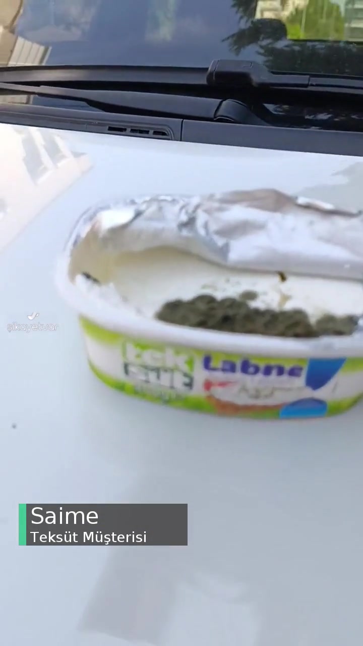 Teksüt Labne Mantarlaşmış! videonun kapak resmi