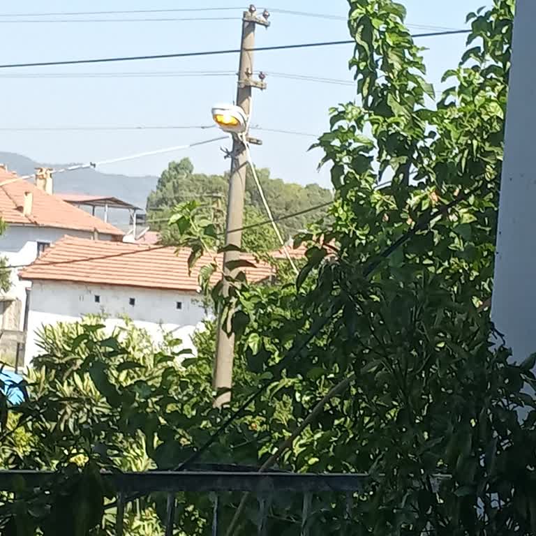 Ortaca'da Sokak Lambalarının Gündüz Sürekli Yanması Ve Enerji İsrafı