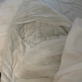 Queen Street Boutique Suites Otelinde Kötü Oda Koşulları Ve İlgisiz Müşteri Hizmetleri