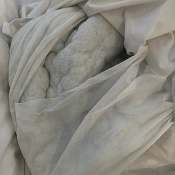 Queen Street Boutique Suites Otelinde Kötü Oda Koşulları Ve İlgisiz Müşteri Hizmetleri