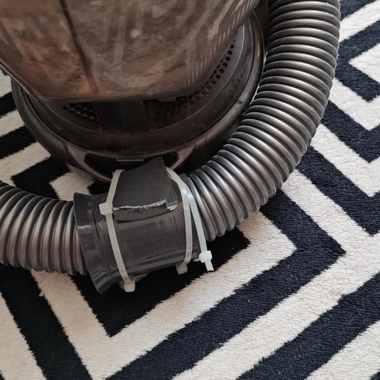 Dyson DC29 DB Süpürgeye Bir Yıldır Hortum Bulamıyorum