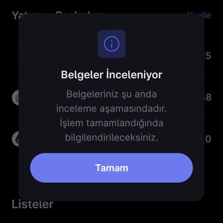 Hesap Başvurum Uzun Süredir İnceleniyor Ve Onaylanmadı