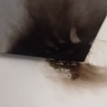 Tehlike Yaratan Arızalı Buzdolabı İçin Kalıcı Çözüm Ve Değişim Talebi