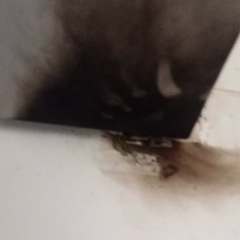 Tehlike Yaratan Arızalı Buzdolabı İçin Kalıcı Çözüm Ve Değişim Talebi