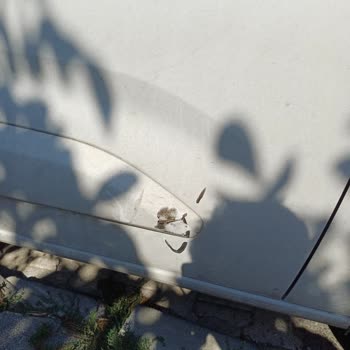 Martı Motorunun Aracıma Zarar Vermesi Ve Sorumsuzluk