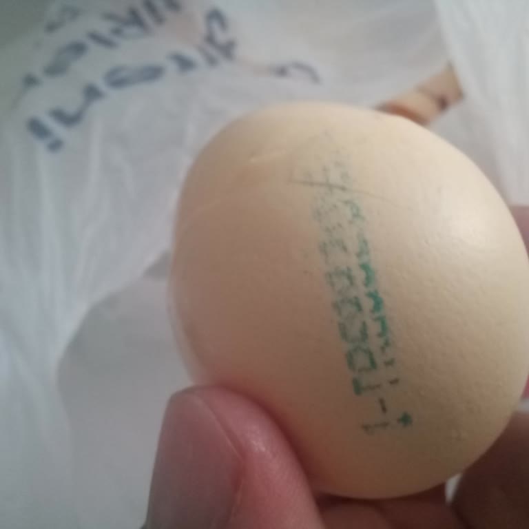 Bozuk Yumurtalar Güvenimi Sarsıyor