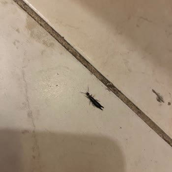 Küflü Odalar, Bozuk Kapılar Ve Çözüm Sunmayan ETS Tur: 69.000 TL’lik Hayal Kırıklığı