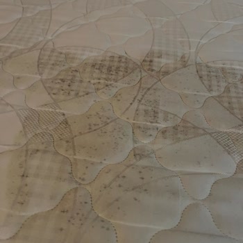 Küflü Odalar, Bozuk Kapılar Ve Çözüm Sunmayan ETS Tur: 69.000 TL’lik Hayal Kırıklığı