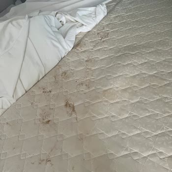 Küflü Odalar, Bozuk Kapılar Ve Çözüm Sunmayan ETS Tur: 69.000 TL’lik Hayal Kırıklığı