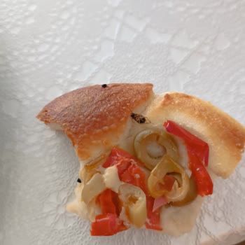 Sümbül Efendi Fırını Aldığım Pizzanın İçinden Böcek Çıktı