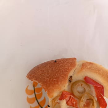 Sümbül Efendi Fırını Aldığım Pizzanın İçinden Böcek Çıktı