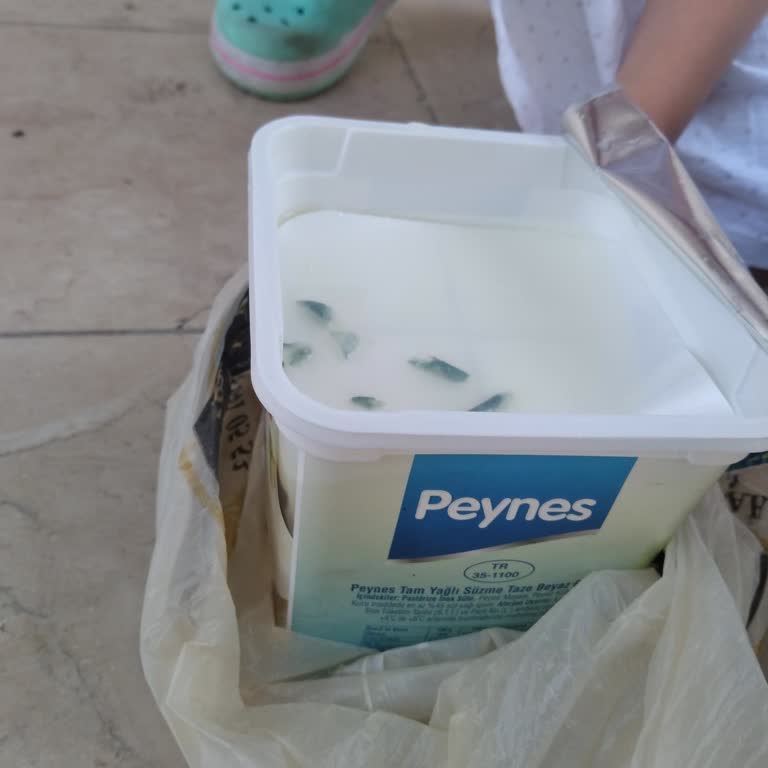 A101'den Aldığım Peynir Küflü Çıktı, Ürün Değişimi Reddedildi