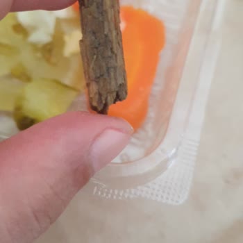 Siparişim Soğuk Ve Eksik Geldi, Turşudan Odun Parçası Çıktı