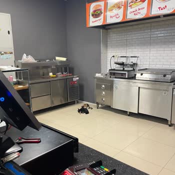 Hastane Karşısındaki Cafede Mutfakta Kedi Beslenmesi Ve Hijyen İhlali