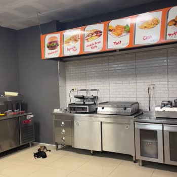 Hastane Karşısındaki Cafede Mutfakta Kedi Beslenmesi Ve Hijyen İhlali