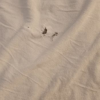 Alba Resort Hotel’de Oda, Hizmet Ve Konaklama Deneyiminde Yaşanan Sorunlar