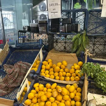 Kim Market'te Çürük Ve Hijyensiz Ürün Satışı Hakkında Şikayet