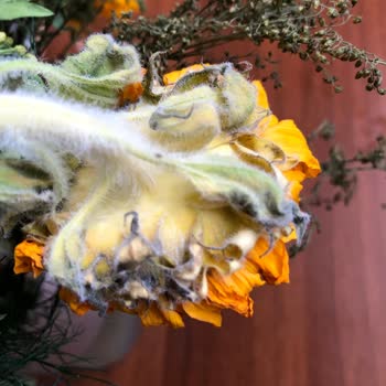 Teslim Edilen Bukette Çiçekler Erken Soldu, Müşteri Hizmetleri İlgisiz Kaldı